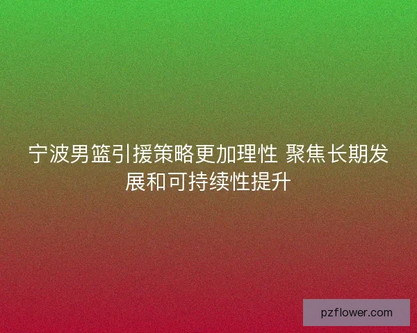 宁波男篮引援策略更加理性 聚焦长期发展和可持续性提升 宁波男篮引援策略更加理性 聚焦长期发展和可持续性提升