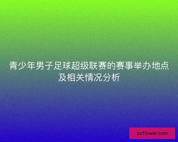 青少年男子足球超级联赛的赛事举办地点及相关情况分析